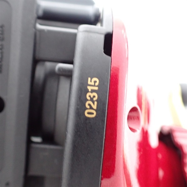 ０９ワカサギマチックＲ